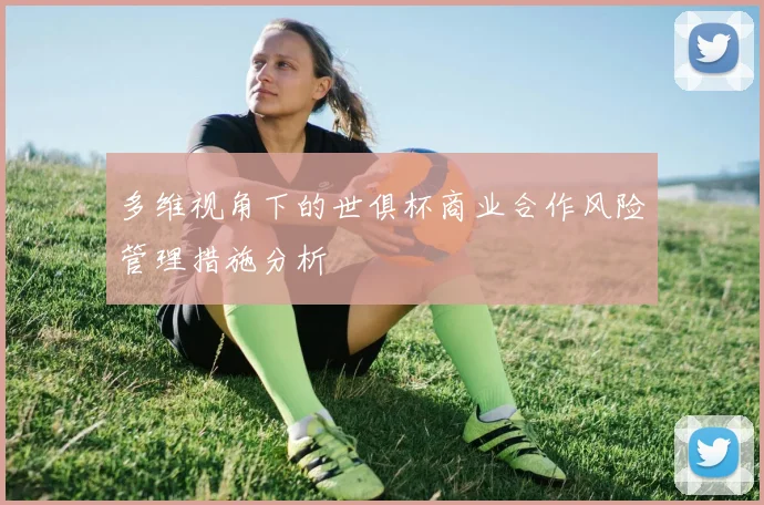 多维视角下的世俱杯商业合作风险管理措施分析