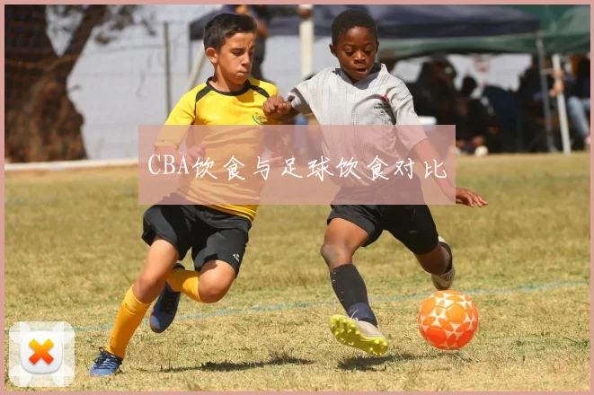 CBA饮食与足球饮食对比