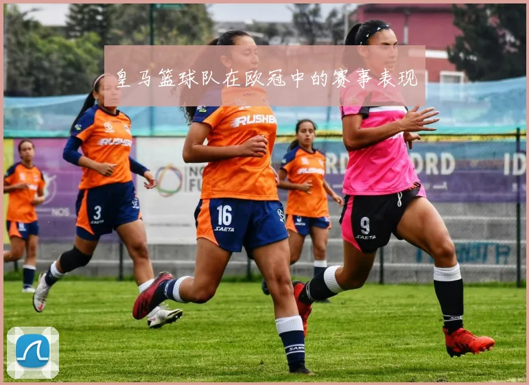 皇马篮球队在欧冠中的赛事表现